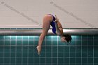 Women's Diving  Wheaton College Women’s Diving vs Mount Holyoke College. - Photo by Keith Nordstrom : Wheaton, Swimming & Diving